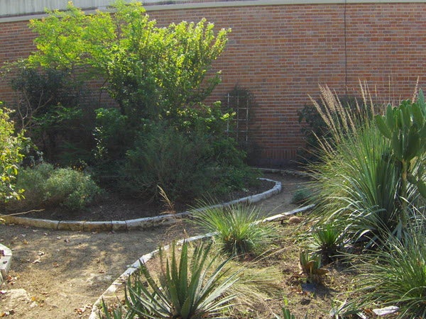 Botany Garden