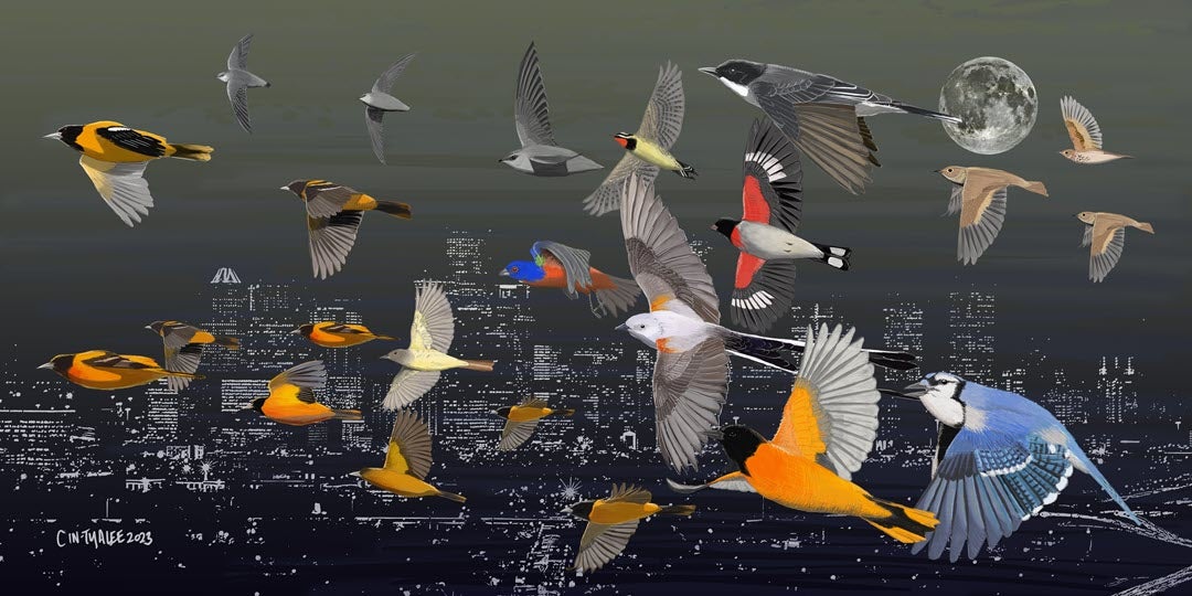 Houston Night Flight (Artwork by Dr. Cin-Ty Lee)