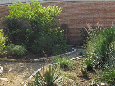 Botany Garden