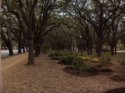 Entrance 2 – Main Street